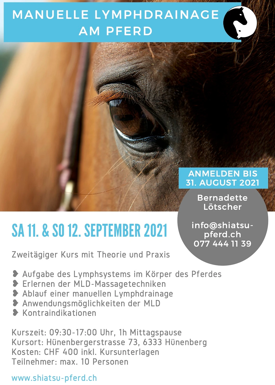 Manuelle Lympfdrainage beim Pferd