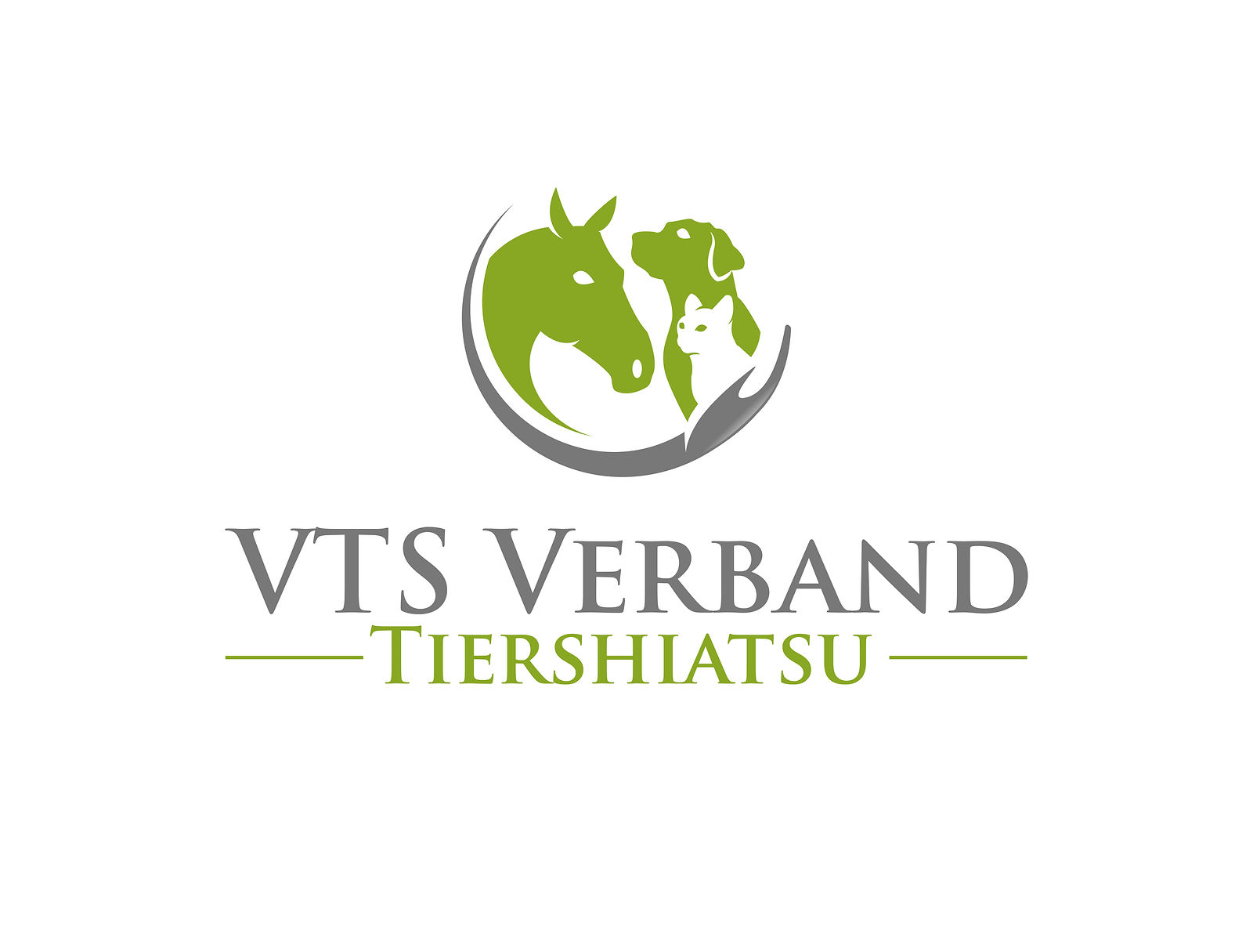 VTSVTLogoFiles.jpg